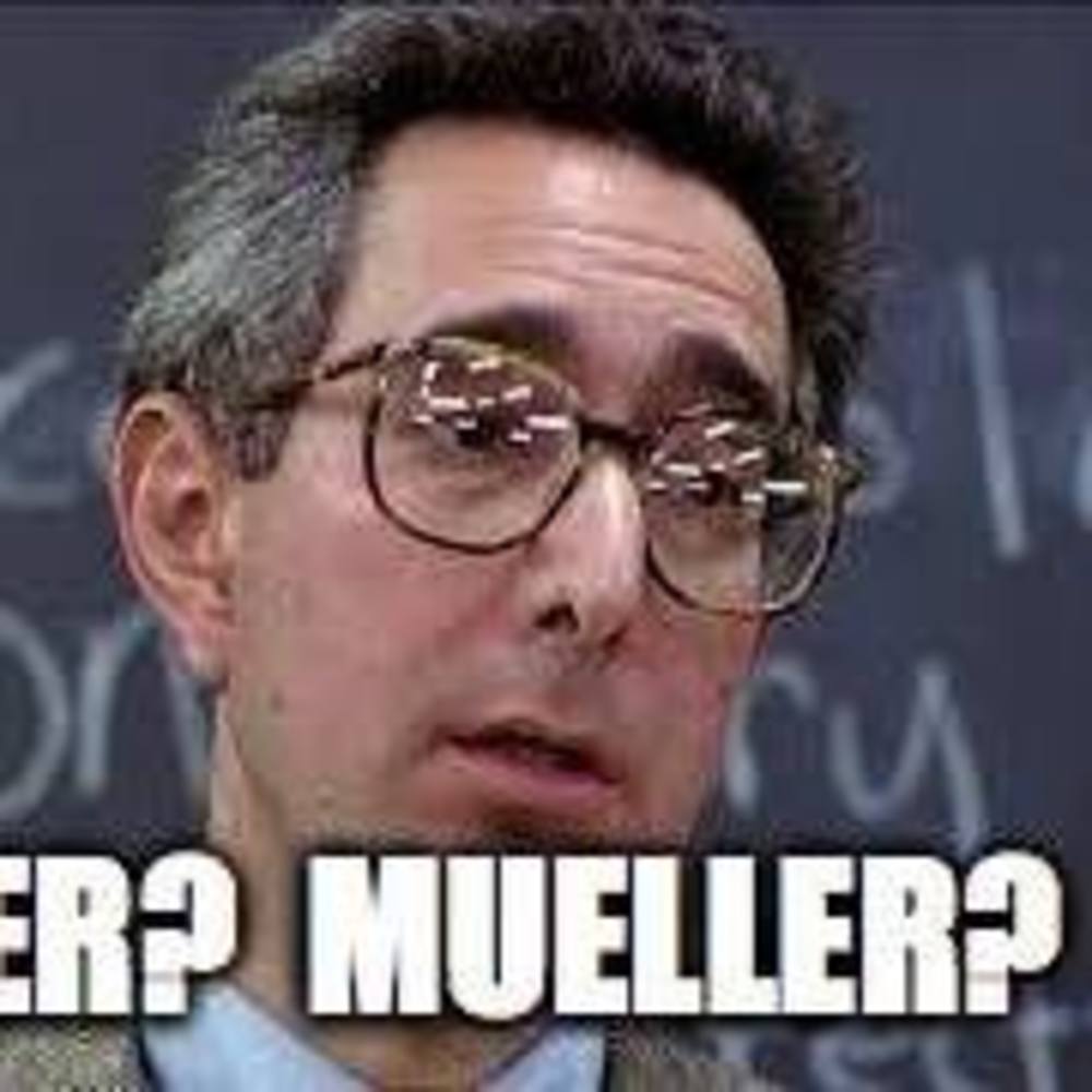 Meet your Posher, Jayne